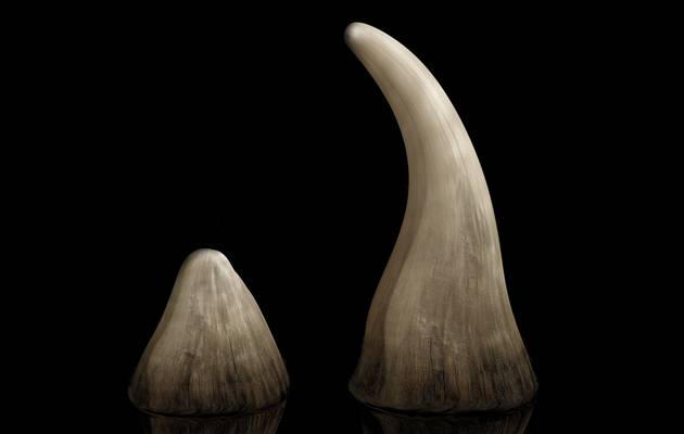 rhinohornfoundincarthatmetwithaccident;3manipuripersonskilled